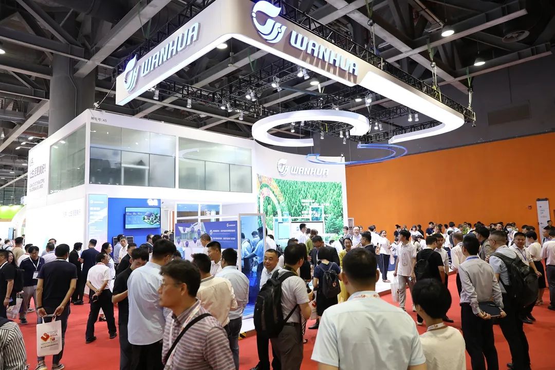 1692784295644643.jpg 01.jpg